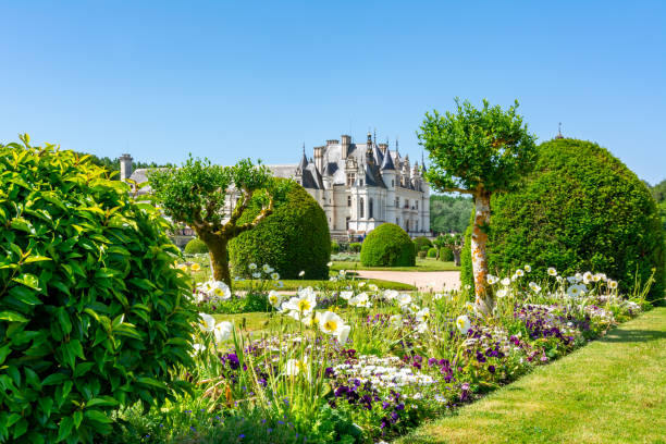 シュノンソー城(シャトー・ド・シュノンソー)と公園(ロワール渓谷、フランス) - chateau de chenonceaux ストックフォトと画像