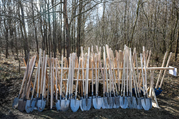 Pile of shovels with wood handles before a massive tree planting project.
