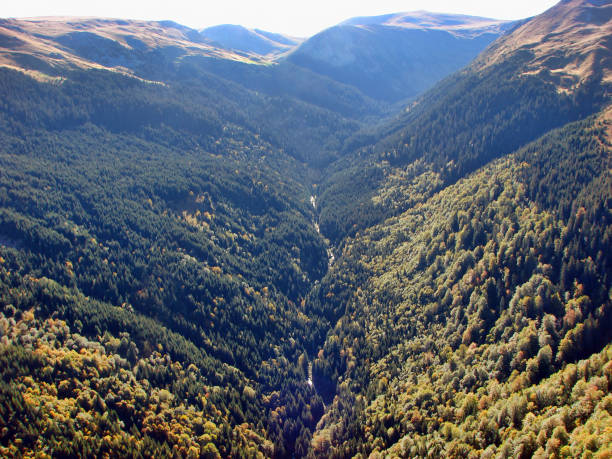 istock Aerial view of forest on the mountain 1210965806
