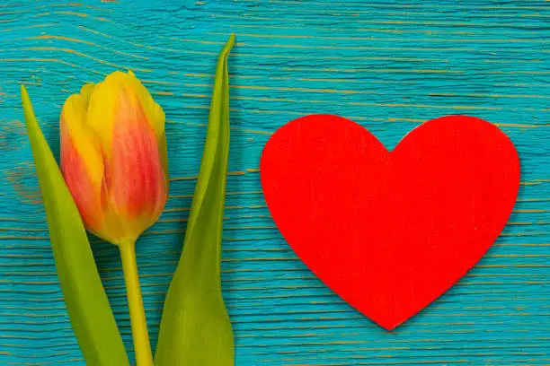 red wooden heart shape and yellow tulip on turquoise rustic planks