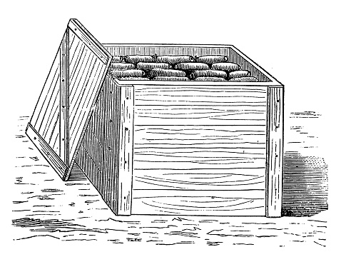 Illustration of a Open crate with goods