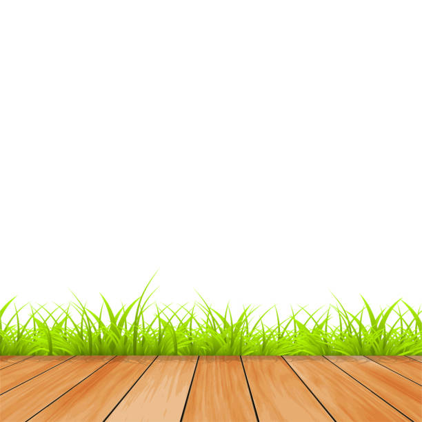 ilustrações de stock, clip art, desenhos animados e ícones de grass with wood. background isolated. summer illustration. vector illustration - ivy backgrounds wood fence