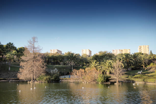 istock benalmadena city center park 1210969586
