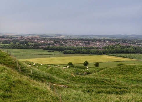 The dwellings of Dorchester crowd together in the distance surrounded by the fields of Dorset, UK.