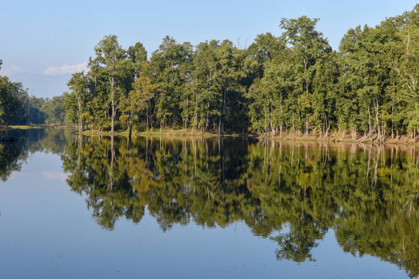istock Beautiful quiet lake in Chitwan National Park on Nepal 1210972036