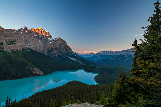 istock Dawn at Peyto Lake, Banff NP 1210975976