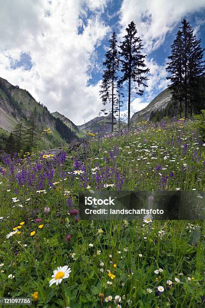 Pradera De Montaña Foto de stock y más banco de imágenes de Abandonado - Abandonado, Aire libre, Alpes Europeos