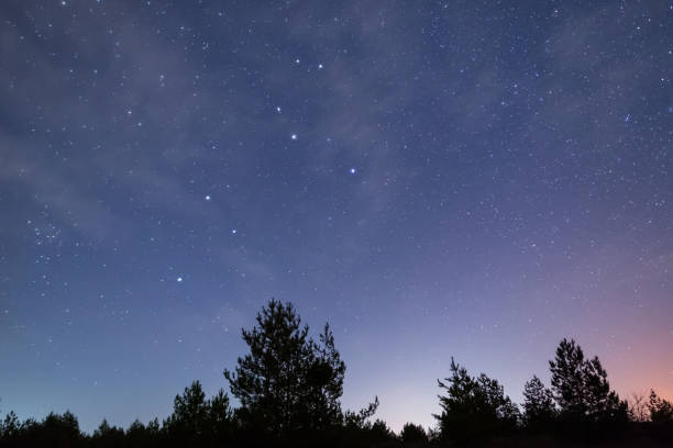 istock forest silhouette under a night starry sky, night outdoor scene 1210979661