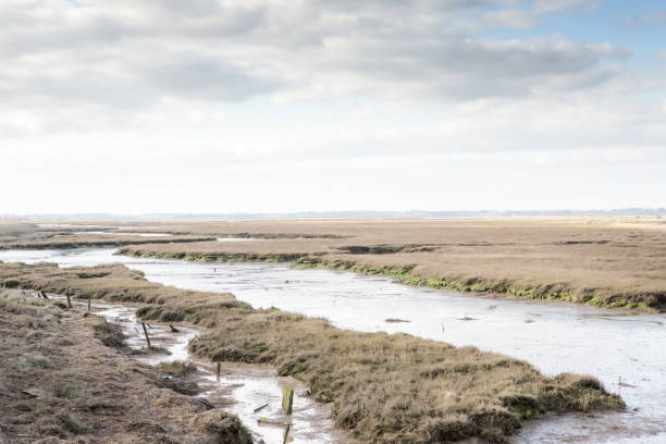 istock wetland and  coastal erosion 1210982218