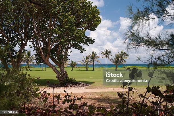 Golf Course By The Ocean Stock Photo - Download Image Now - Cloud - Sky, Cloudscape, Color Image