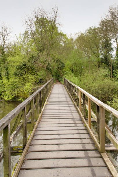 istock wooden bridge walkway 1210984431