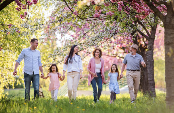 familia de tres generaciones caminando fuera en la naturaleza primaveral. - parque público fotos fotografías e imágenes de stock