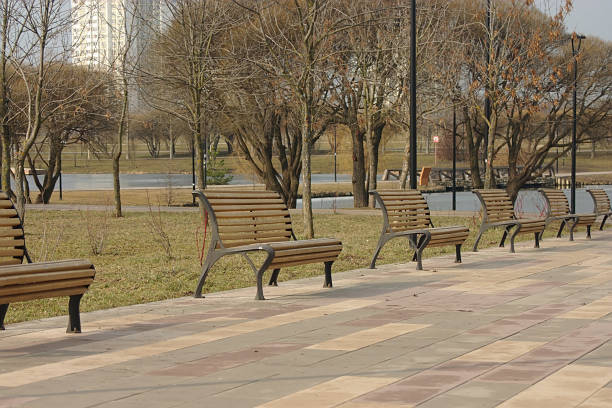istock benches for rest in the walking area 1210987324
