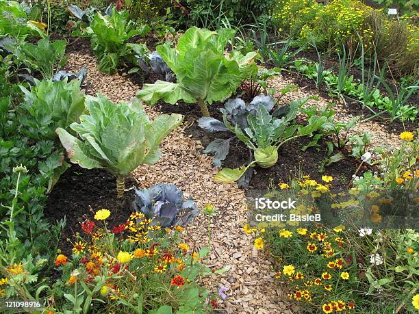 Gemüsegarten Stockfoto und mehr Bilder von Gemüse - Gemüse, Hausgarten, Gemüsegarten