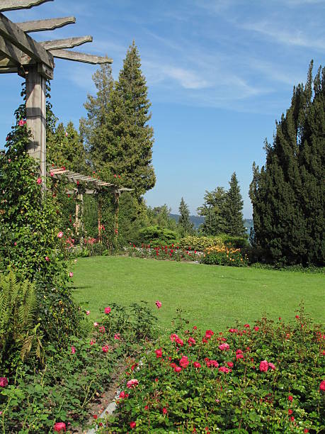istock Rose Garden - Lake Constance 121098947