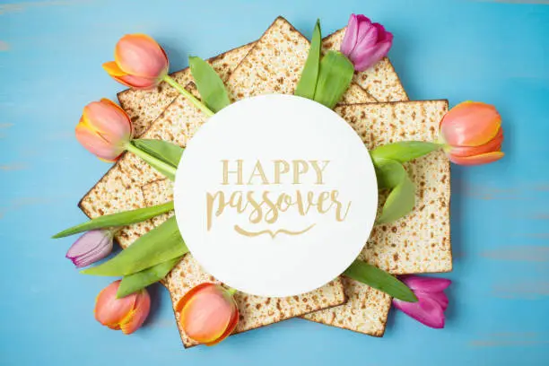 Jewish holiday Passover greeting card with matzah and tulip flowers on wooden table. Pesach background. Top view from above.