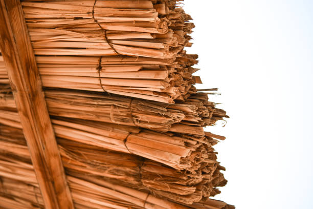 reed roof of an old country house