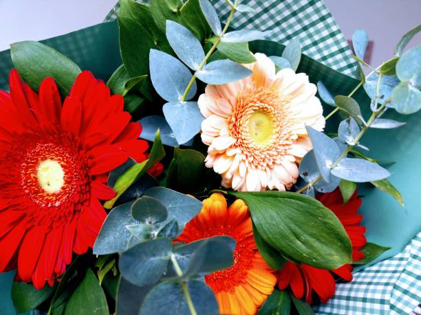 istock Gerbera Daisy or Gerbera Jamesoni Flower light Orange in a bouquet 1210995091