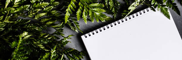 istock Desktop mockup with blank of paper and green leaves. Empty space, flat lay, top view, copy space. Horizontal banner for web design 1210997385