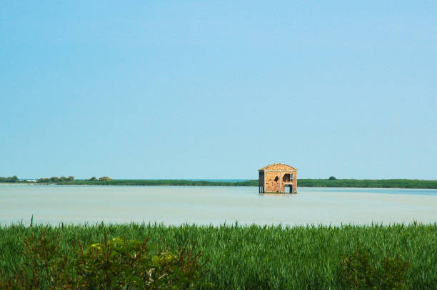 Sacca degli Scardovari - Delta del Po