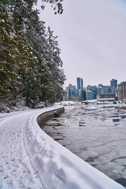 istock Stanley Park, Vancouver. British Columbia. North Vancouver 1211001932