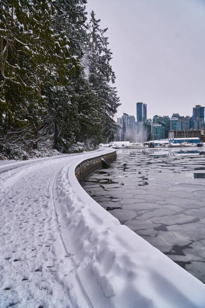istock Stanley Park, Vancouver. British Columbia. North Vancouver 1211001933