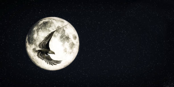 istock eagle flying with the moon in the background 1211004772