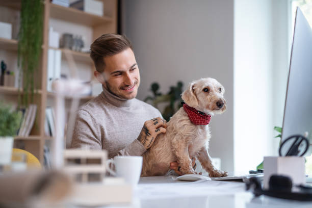 istock Young businessman with dog sitting at the desk indoors in office, using computer. 1211005111