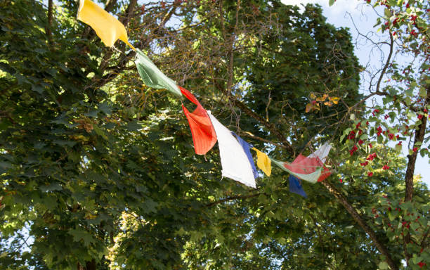 istock Colorful various flags hang on trees – freedom symbol 1211005958
