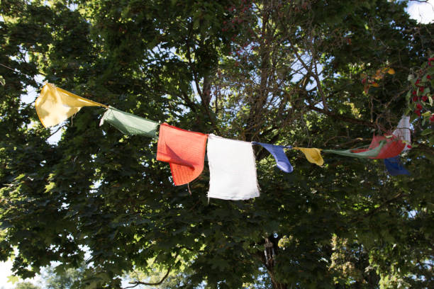 istock Colorful various flags hang on trees – freedom symbol 1211006041