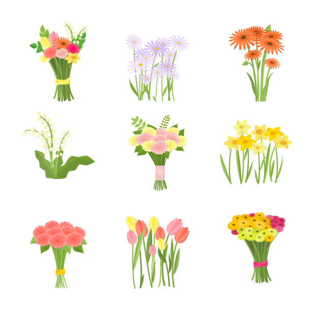 Flowers composition set icons isolated on white background Flowers in bouquet and growing in flowerbed set icons isolated on white background. Blue daisy, narcissus, tulip, gerberas, lilies of the valley, roses and mixed composition. Greeting card template magnoliophyta stock illustrations