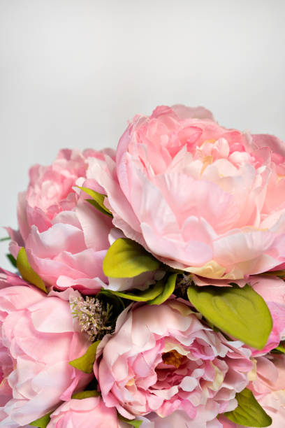 istock bouquet of pink peonies  on white  background copy space 1211008660