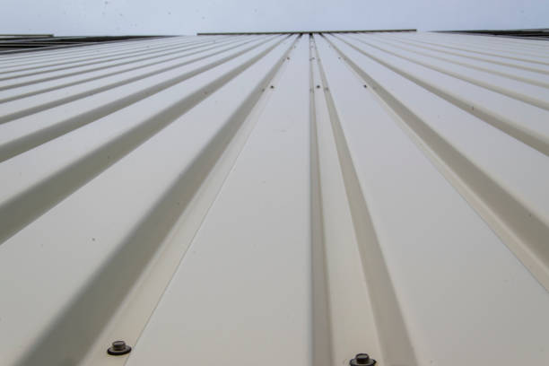 istock Metal facade of a large hall. 1211014548
