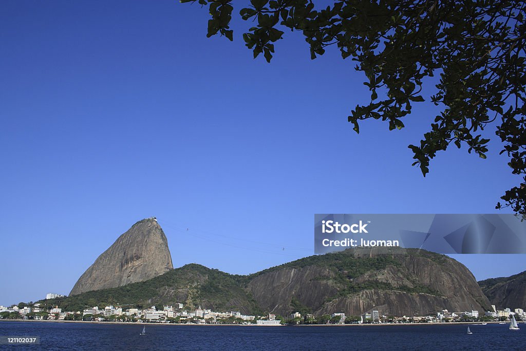 Sugarloaf culla forma - Foto stock royalty-free di Albero