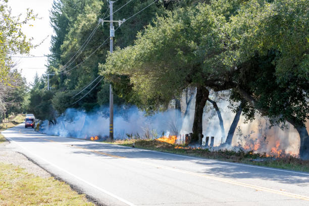istock Wildfire in California - Trees Burning 1211020524