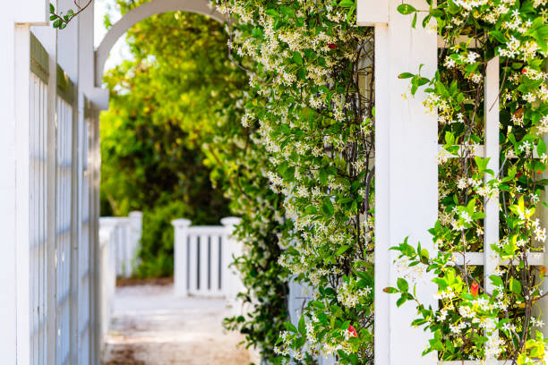 トンネルアーチウェイパスを持つガーデニングの外の夏の庭クレマチスつる植物の花 - fence formal garden gardening ornamental garden ストックフォトと画像