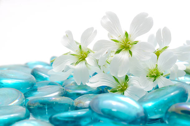 Beautiful white flowers on blue glass stones with copy space