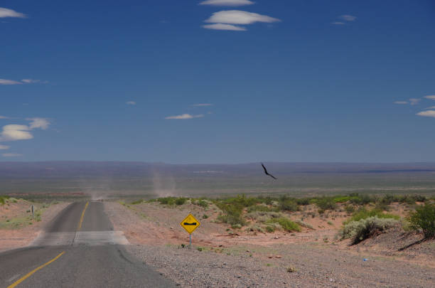 Driving in Argentinian Patagonia with a beautiful deep blue gently cloudy sky