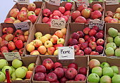 Farmer's Market Apples