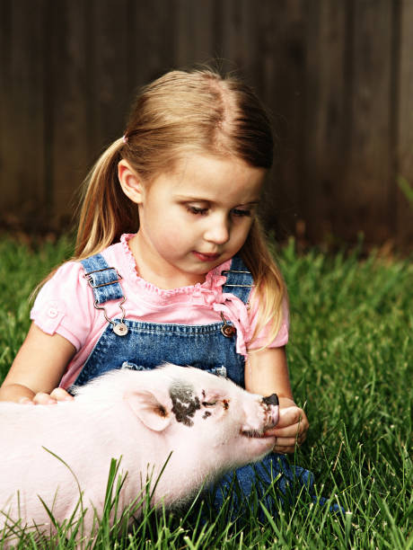 istock Litlle Girl and Pig 121103901