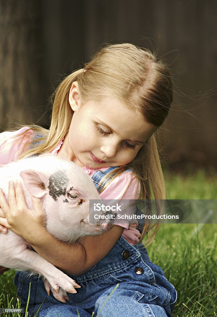 Mädchen und Ihre Katze - Lizenzfrei Schwein Stock-Foto