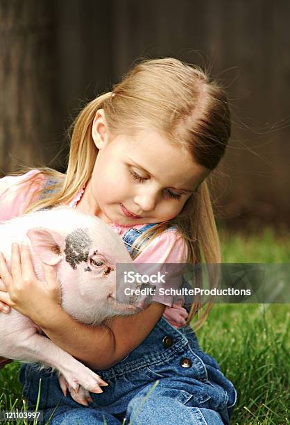 Mädchen Und Ihre Katze Stockfoto und mehr Bilder von Schwein - Schwein, Umarmen, Mädchen