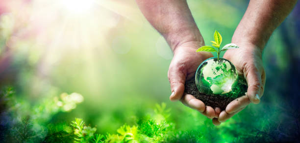 Earth Day - Growing Plant On Globe In The Green Forest - Environment Concept Earth Day - Growing Plant On Globe In The Green Forest - Environment Concept - Element of image furnished by NASA nasa kennedy space center photos stock pictures, royalty-free photos & images
