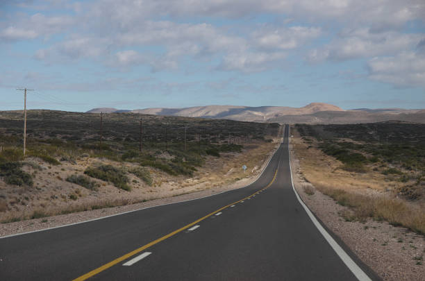 Driving in Argentinian Patagonian steppe on a straight asphalt road