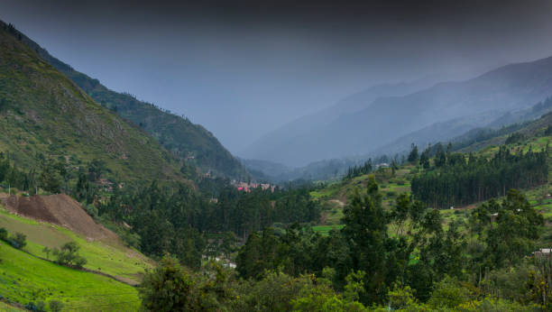 istock Nature in the Peruvian Highlands 1211042869