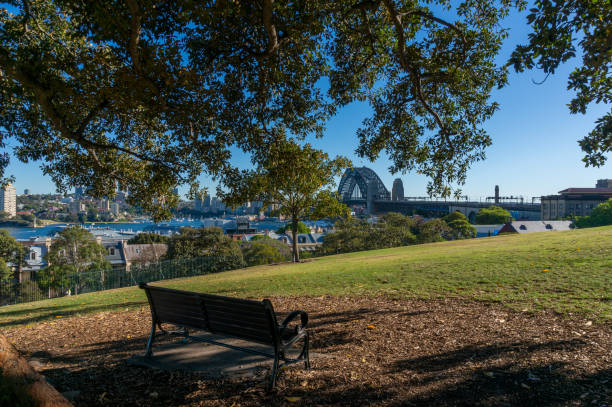 istock Bench in public park with beautiful views over Sydney Harbour Bridge 1211045540