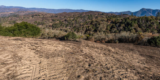 istock Firebreak at Pepperwood Preserve made to stop the October 2019 fire 1211049242