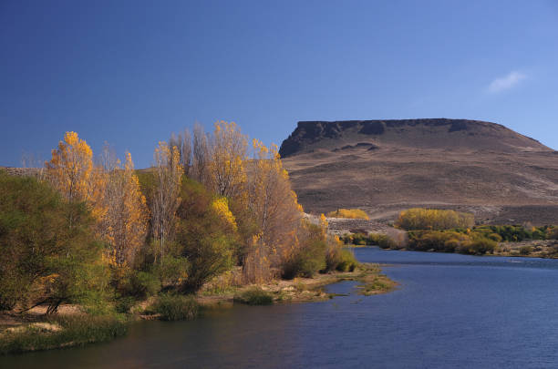 Patagonian river An autumn view of Collón Curá river, in argentinean northern Patagonia, famous for fly fishing activities. argentina nature andes autumn stock pictures, royalty-free photos & images