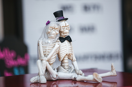 White skeleton wearing veil hugging male skeleton wearing bow tie and black hat. Halloween bridal couple