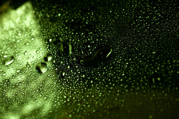 Green glass with water drops and splashes, green leaf after the rain.
